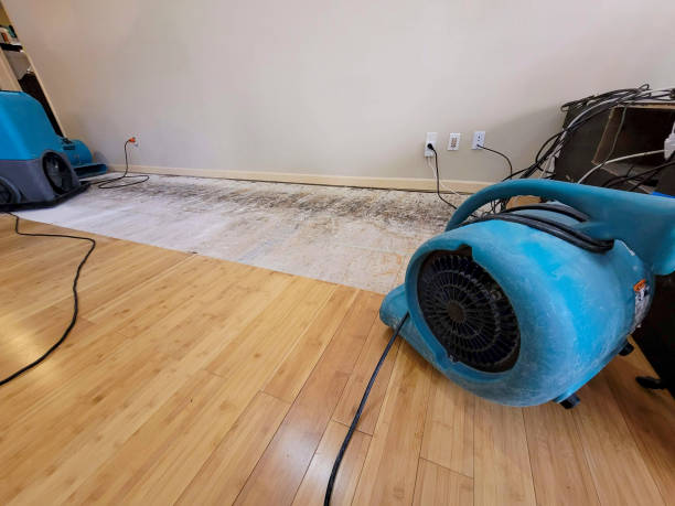 Professional Sewage Cleanup technician working in Runnemede, NJ
